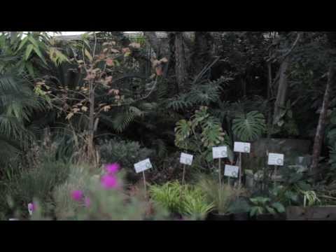 Welcome to Sunflower Farms