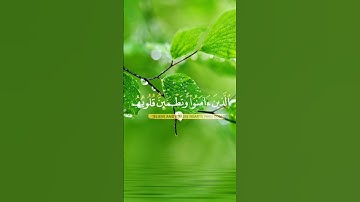 ألا بذكر تطمئن القلوب... 💛♥️.. تلاوة خاشعة... | ياسر الدوسري✨|