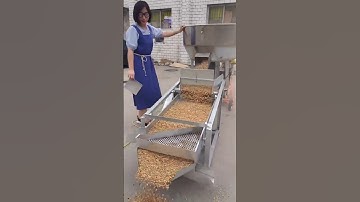 Sieve corn, soybean, wheat, grain, double-layer screen, with large fan, to produce net grain once,