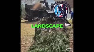 Local tree service and a property management