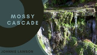 Nature Sounds-Forest Waterfall Sound-Relaxing Natural Birds Singing Music-Sleeping Relaxation