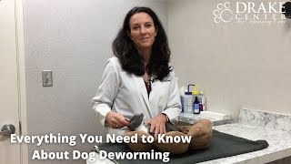 Everything You Need to Know About Dog Deworming