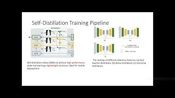 SDNet: An Extremely Efficient Portrait Matting Model via Self-Distillation