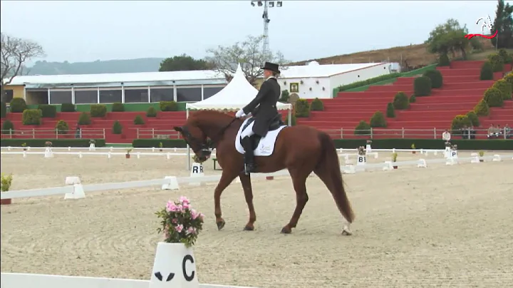 Stephanie Campbell Jones & DRESSUR DIVO