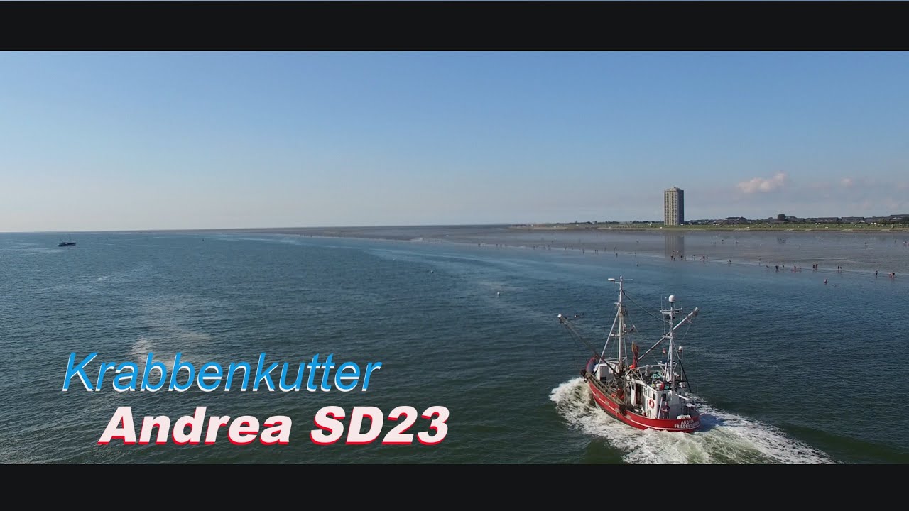 Krabbenkutter Andrea SD 23 (Büsum) auf Fangfahrt