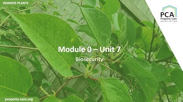 PCA Module 0 - Eenheid 7: Bioveiligheid