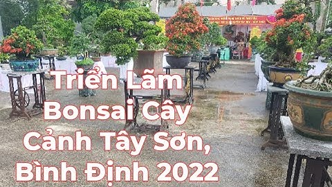 Triển lãm Bonsai Cây Cảnh Tây Sơn Bình Định 30-4-2022