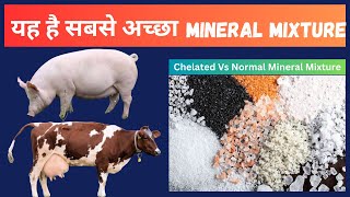कैसे सस्ता MINERAL MIXTURE Use करे | Chelated Vs Normal Mineral Mixture | Farming @drcharandeep