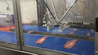 M098 Slice Picker Robot