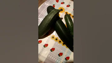 Горький кабачок.