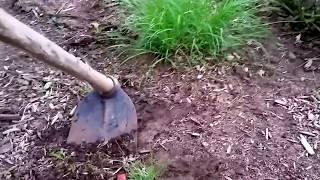 How to Kill Tons of Tiny Weeds with a Garden Hoe