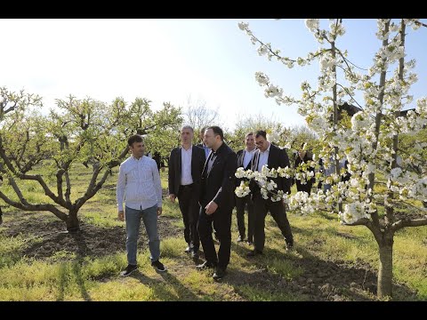 „შეღავათიანი აგროკრედიტის“ პროექტით მოსარგებლე ფერმერის სამაცივრე მეურნეობა და გაშენებული ბაღი