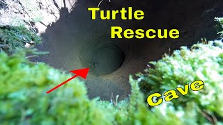 Turtle Rescue : Clown Cave Exploration
