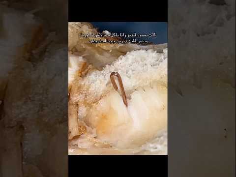 لقيت كارثة دبوس داخل سندوتش الشاورما ترند توينكز ده اكيد محشي كريمه ترند تيك توك