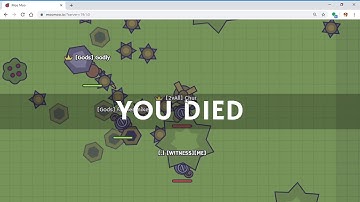 Moomoo.io stick 1v1