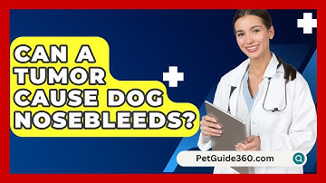 Can A Tumor Cause Dog Nosebleeds? - PetGuide360.com