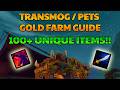 Insane Transmog & Pets Gold Farm With More Than 100 Unique Items! (WoW Goldmaking)