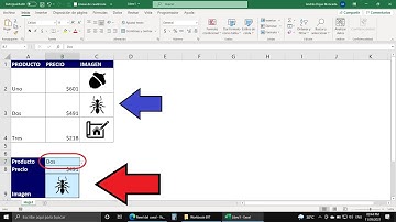 Cómo Crear un Catálogo de Imágenes con un Buscador en Excel ¡Rápido y Fácil!