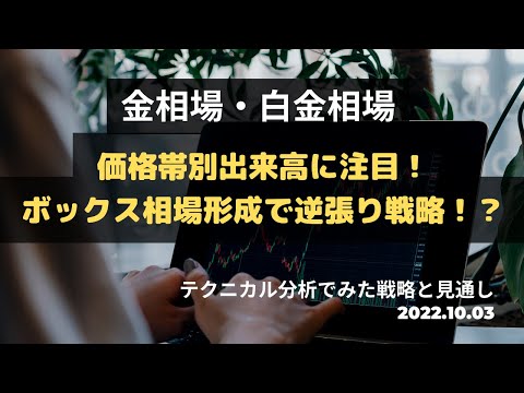 【金価格・白金価格】今後どうなる!?価格帯別出来高に注目! ボックス相場形成で逆張り戦略!?テクニカル分析でみた見通しと戦略 10月3日(月)