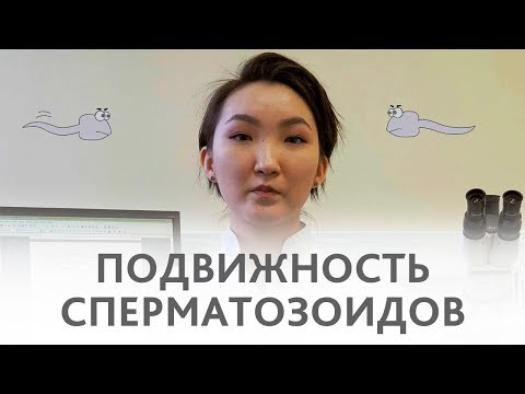 Вопрос: Как повысить подвижность сперматозоидов?