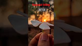 How to edit sunset photo #subscribe #sunset #snapseed #shorts screenshot 4