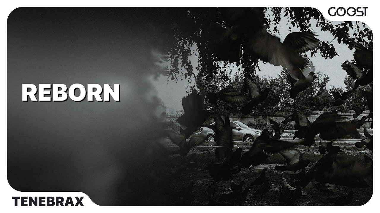 Watch Tenebrax - Reborn on YouTube Watch Tenebrax - Reborn on YouTube