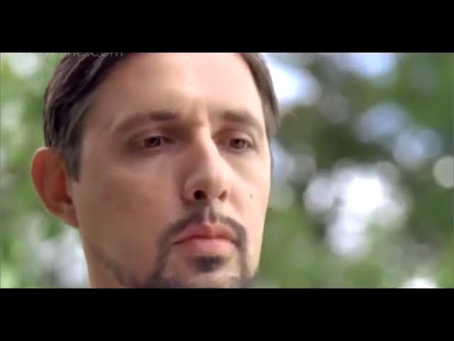 Корм для собак Pedigree