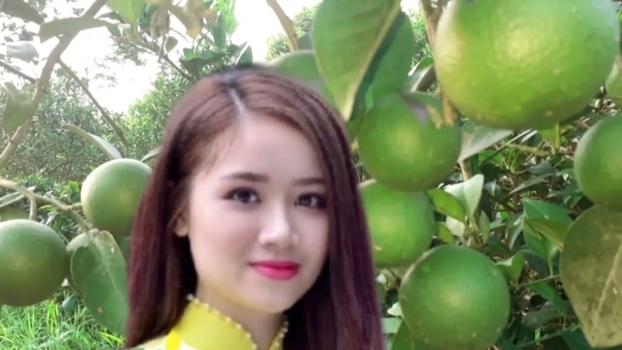 Tuấn vũ .Thư về em gái thành đô. Giã biệt sài gòn .