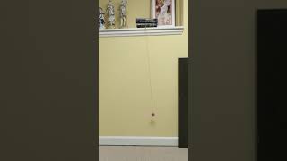 Mathematical Pendulum