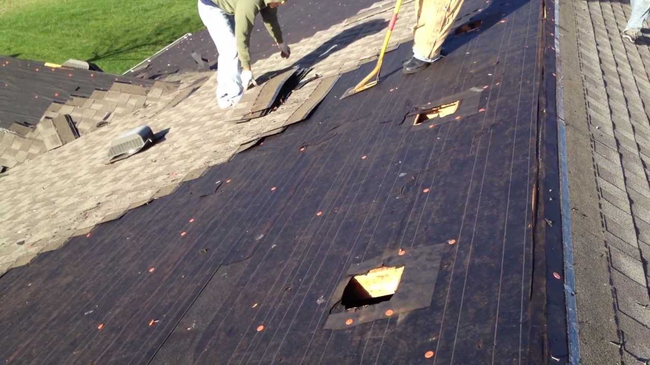SHINGLE REMOVAL YouTube