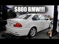 $800 BMW! Would YOU buy it?