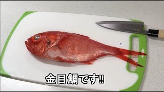 【金目鯛(きんめだい)】魚ガチャ引いたら高級魚の金目鯛が当たったのでさばいてみたｗ　sea bream
