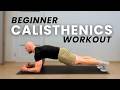 15 Min Calisthenics Workout at Home For Beginners (Follow Along)