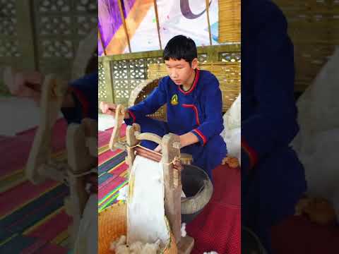 ตากฝ้าย ปั่นฝ้าย ณ เฮินฝ้ายหน่อคำ ชุมชนไทลื้อเชียงคำบ้านธาตุสบแวน