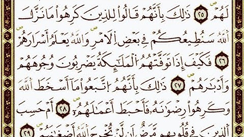 سورة محمد من اية ٢٦ الى اية ٢٩