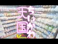 【ちいかわ天国】話題の品数最強で予約不要のお店へ！最新グッズの在庫ありすぎ！！