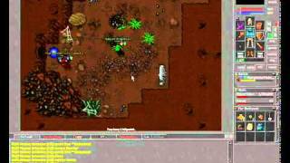 Tibia NeoBot Script for mage,knight,paladin ! Tarantula Task 100% afk and safe !!