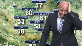 Weatherman spooked by spider