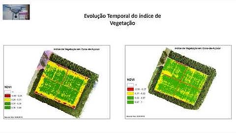 Índice de Vegetação através de imagens de Drone