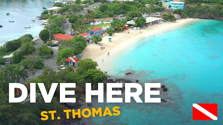 Scuba Diving from Shore (Coki Beach - St. Thomas)
