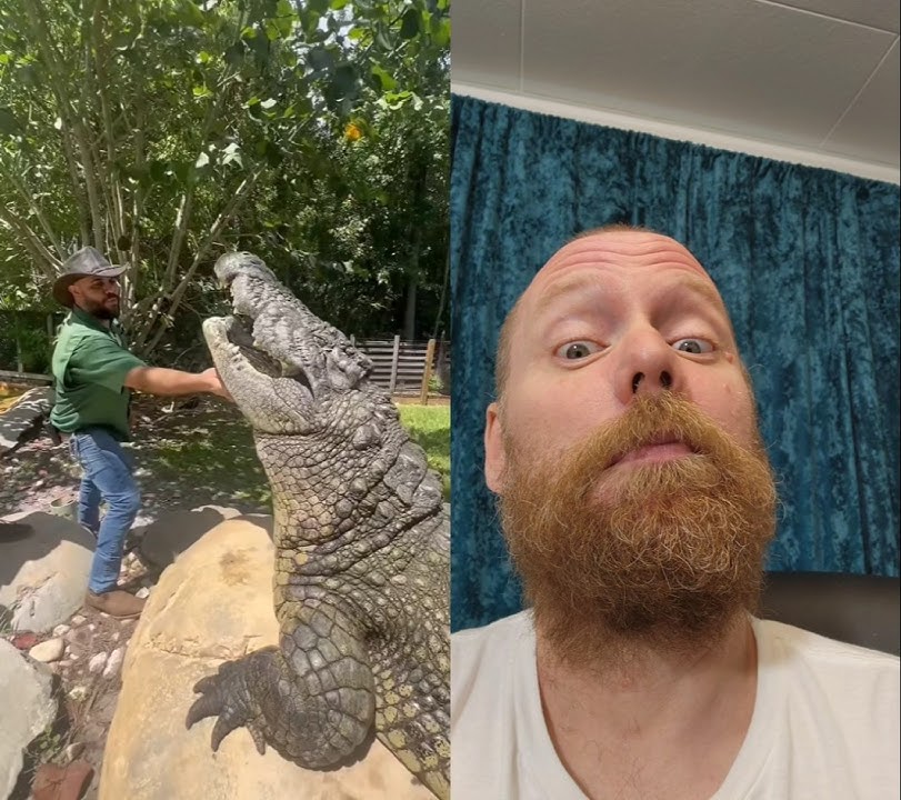 Crazy Willys Crocodile Video of the Day! Wild Animal Handler Risks Life #Attack #bite #alligator zoo
