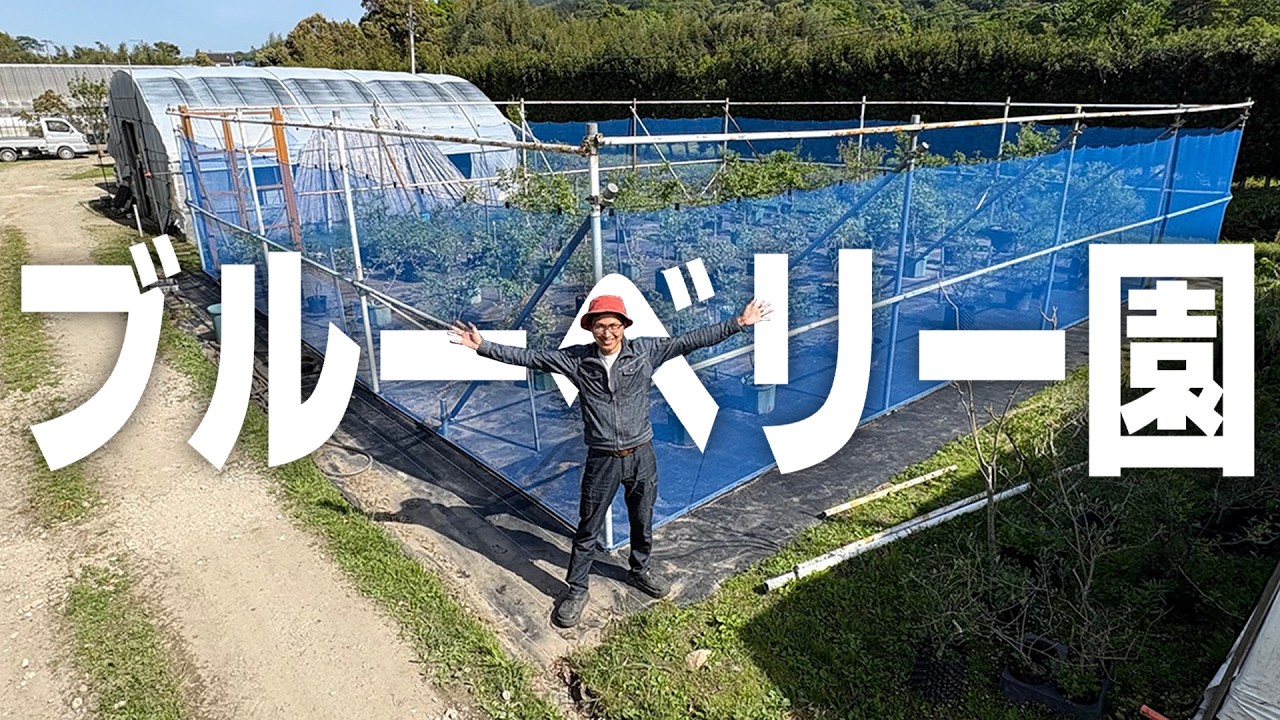 We've made it this far!] We'll show you everything behind the