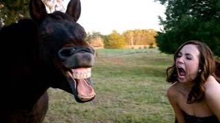 ЛУЧШИЕ ПРИКОЛЫ 2016 АВГУСТ | Best Coub | Funny video | Ржу | Подборка приколов #3 | Смешное видео ЛУЧШИЕ ПРИКОЛЫ 2016 АВГУСТ | Best Coub | Funny video | Ржу | Подборка приколов #3 | Смешное видео