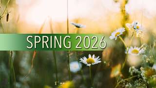 Baptisms May 3, 2026