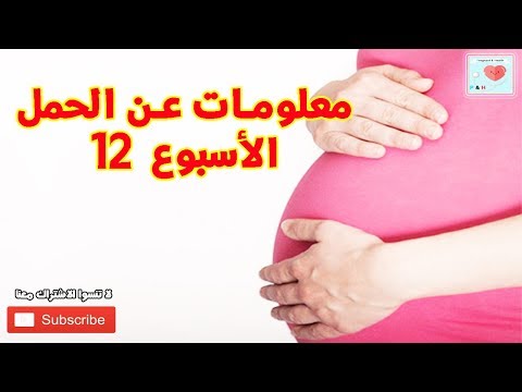 فيديو: ما هي زيادة الوزن في الأسبوع 12 من الحمل