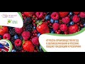 Вебинар «Отрасль производства ягод в Великобритании и России: общие тенденции и различия»