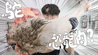 【 恐龍的後代 】從零開始處理鴕鳥肉 ｜RICOの食材圖鑑