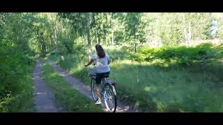 Велопрогулка по лесной дорожке 🤠🚴‍♂️🚴‍♀️🌲🌲🌳🌳🌿🌿