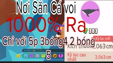 Góc Câu Cá Voi Râu Trắng 100% ra mà Mọi người bỏ lỡ PLAY TOGETHER