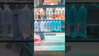 🐠 Kolathur Fish Market பக்கம் வந்து எவ்ளோ வருஷம் ஆச்சு (after 3 Years) Back to Fishpedia 🔥